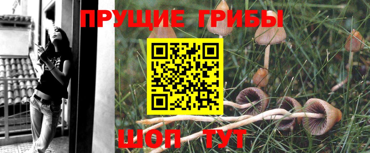 Псилоцибиновые грибы Magic Shrooms Лениногорск