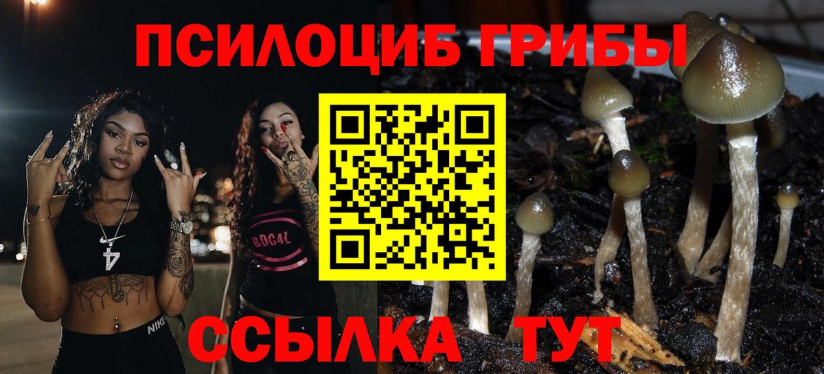Галлюциногенные грибы прущие грибы  Вход с VPN  Галлюциногенные грибы GOLDEN TEACHER  Лениногорск 